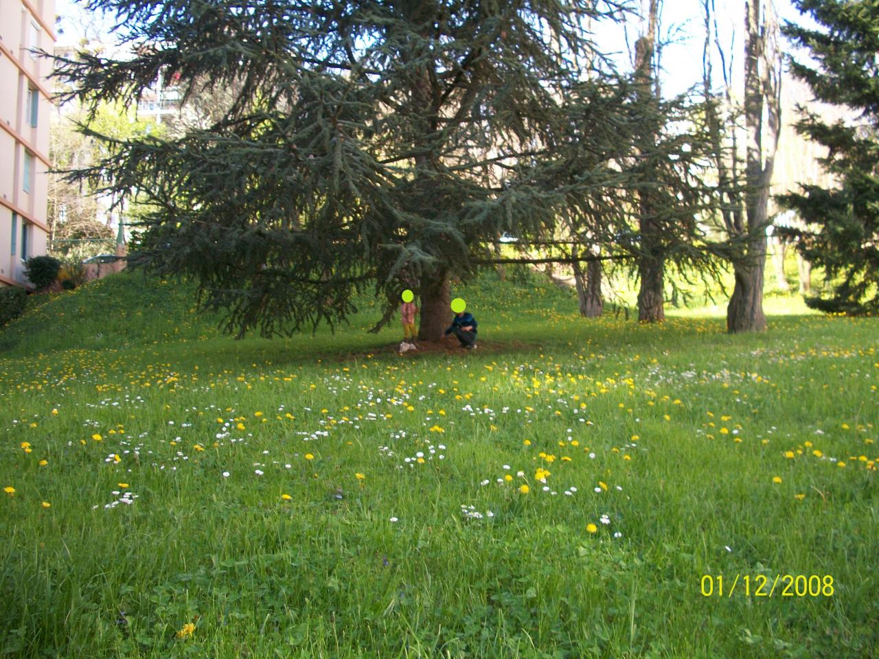 c'est le printemps 021