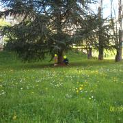 c'est le printemps 021