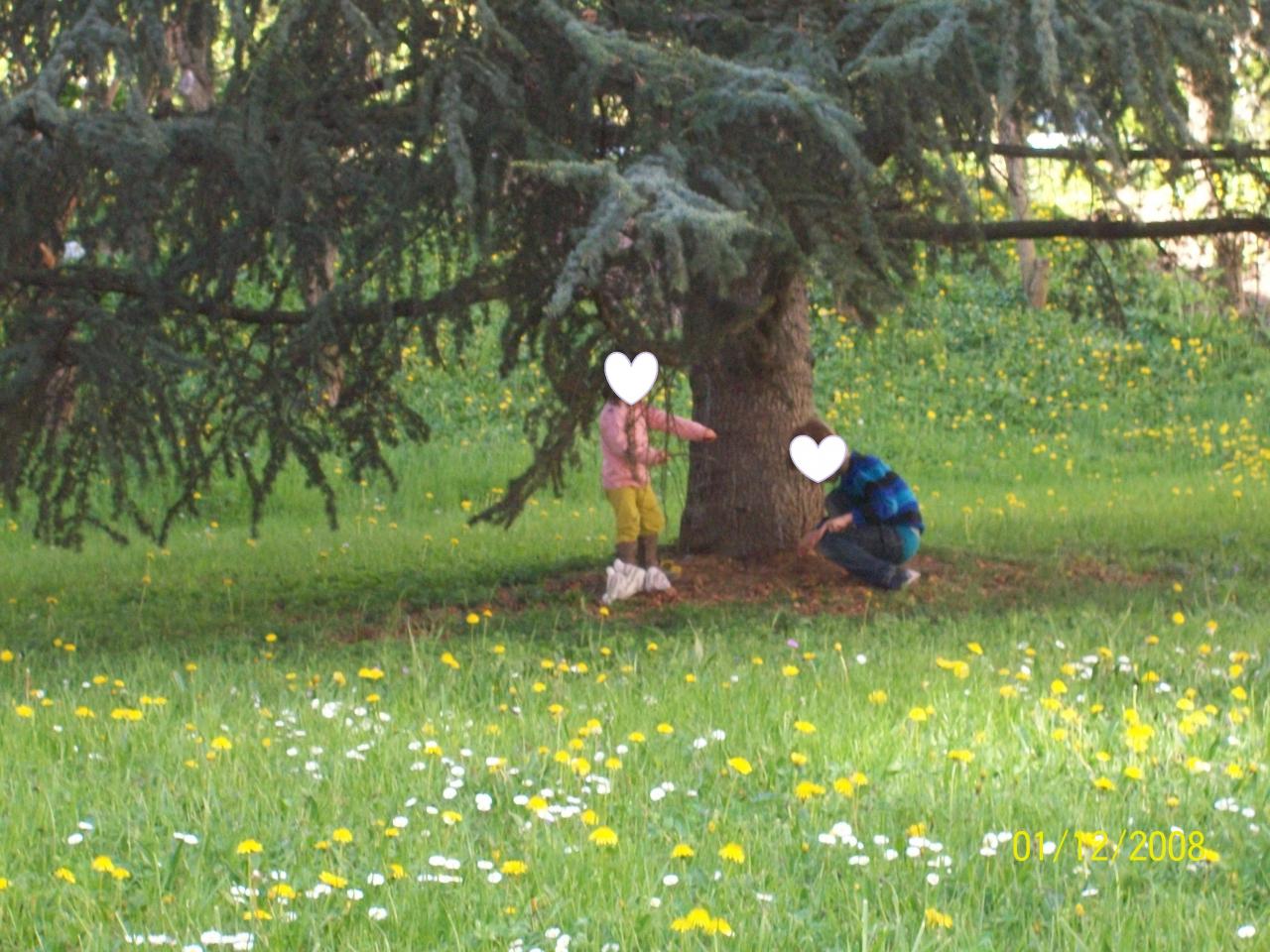 c'est le printemps 023