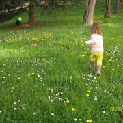 c'est le printemps 083